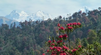 Ganesh Himal depuis le chemin entre Barpak et Laprak