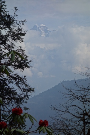 Le Gaurishankar dans la montée à Chordung Peak